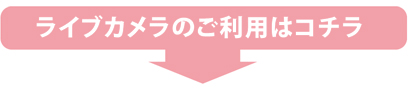 ライブカメラのご利用はこちら