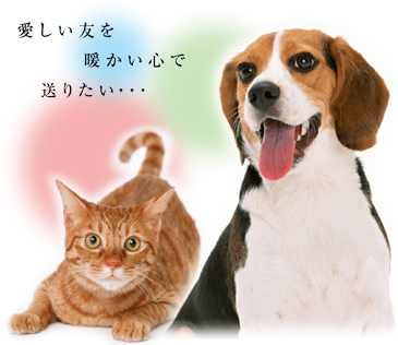 ペットイメージ